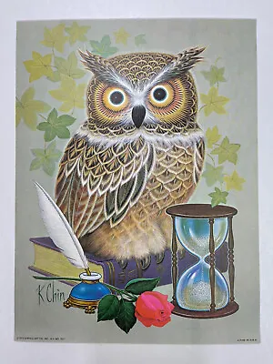 Vintage 70s K Chin Owl Litho Print Mid Century Modern Donald Art Co. 9  X 12  • $11.99