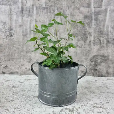 £10.99 • Buy Galvanised Metal Pot Planter