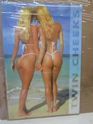 Twin Cheeks Sam Maxwell 1997 Girls Original Hot Girl Poster 15927 • $39.97