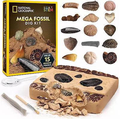 Mega Fossil Dig Kit By National Geographic - Excavate 15 Real Fossils Education • £26.43