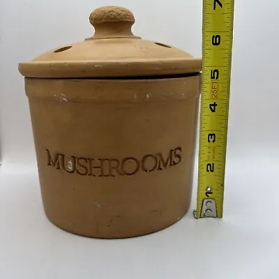 Vtg Italian Terracotta Mushroom Lid Crock Kitchen Jar Bentson West Cottage • $22.50