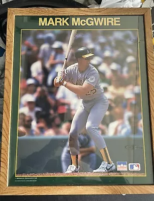 Mark McGwire 1988 STARLINE Inc 34”x23” Framed Poster Oakland Athletics A's VTG • $50