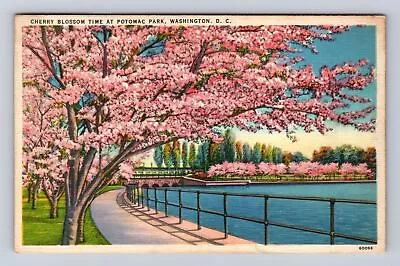 Washington DC-Cherry Blossom Time Potomac Park Vintage C1938 Souvenir Postcard • $7.99