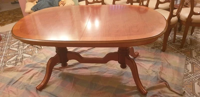 $250 • Buy Elegant Twin Pedestal Extendable Dining Table & 8 Chairs In Excellent Condition
