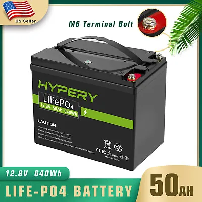 12V 50Ah LiFePO4 Deep Cycle Lithium Battery Rechargeable BMS For Solar RV Marine • $199.95