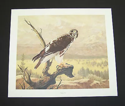 Charles Frace Hand Signed Limited Edition Print  Harlan's Hawk   • $74.99