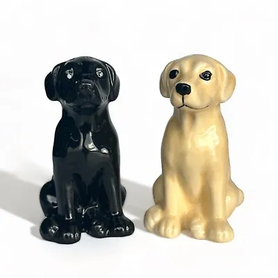 Labrador Salt & Pepper Ceramic Shaker Set Black And Golden Lab Dog Lover Gift • £13.95