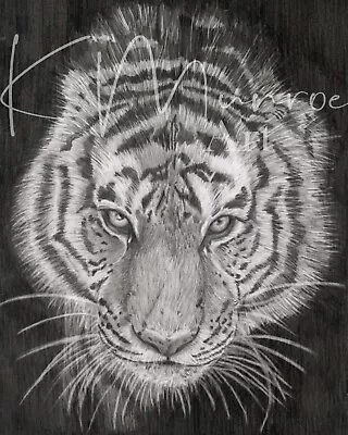 Prowling Tiger PRINT - Pencil Portrait • £13.99