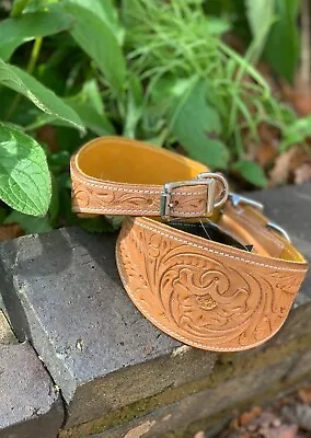 Vegetable Tanned Leather Whippet Saluki Greyhound Lurcher Collar Hand Tooled • £19.99