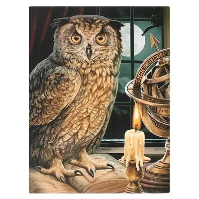 Astrologer Lisa Parker Small Canvas Picture Art Print Gothic Steampunk Owl Bird • $11.36