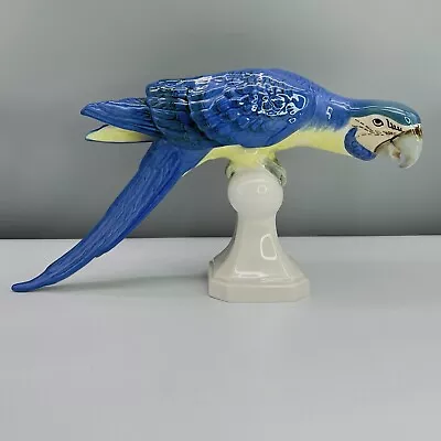 16  Royal Dux BLUE MACAW PARROT Porcelain BIRD FIGURINE Czechoslovakia VTG #2 • $195