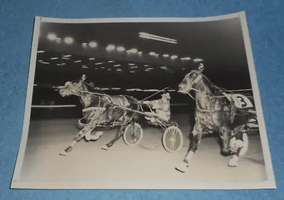 March 1974 Harness Racing Press Photo Horse  Sudden Sam  • $17.72
