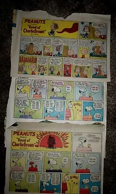 CHOOSE A PAIR NP COLOR COMIC STRIPS  PEANUTS CHARACTERS  Pre-Owned (c) 1970's • $9.88