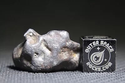 Sericho Pallasite Meteorite From Kenya Africa Habaswein 6.9g Zoomorph Individual • $4.25