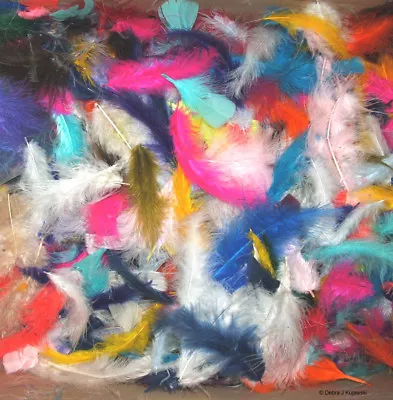 1 Pound Of Good Marabou Feathers In Mixed Assorted Colors Approx 2250 • $39.95