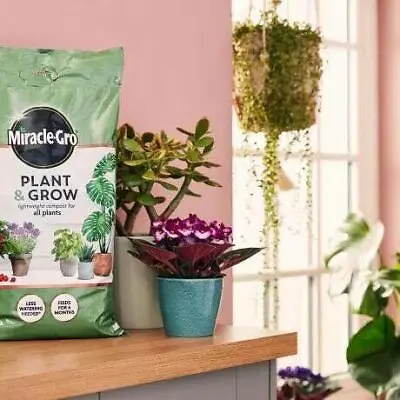 Miracle Gro Plant & Grow House Plant Potting Compost Mix All Plants 6L Bag • £7.99