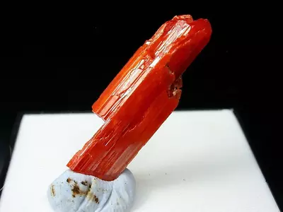 Minerals : Terminated Crocoite Crystal With Old Label Red Lead Mine Australia • $3