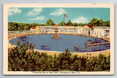 Idora Park Defunct Amusement Swimming Pool Youngstown Ohio OH Vtg Postcard • $6.99