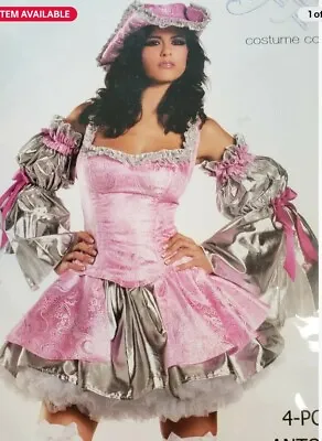 Be Wicked Marie Antoinette Pink And Silver Costume One Size Five Piece Set • $59