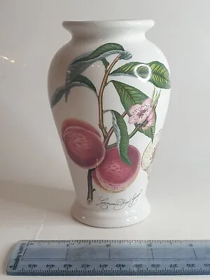 £10 • Buy Portmeirion Small Pomona Vase 5  Tall