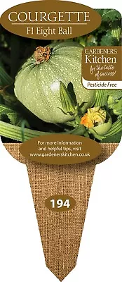 Courgette Plants 'F1 Geode' - 3 X 9cm Pot Vegetable Plants. • £10.99