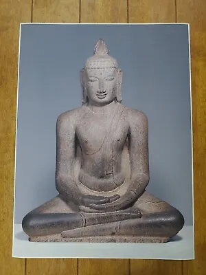 Buddha Shakyamuni Seated In Meditation (Dhyanamudra) Poster 18x24in • $18.99