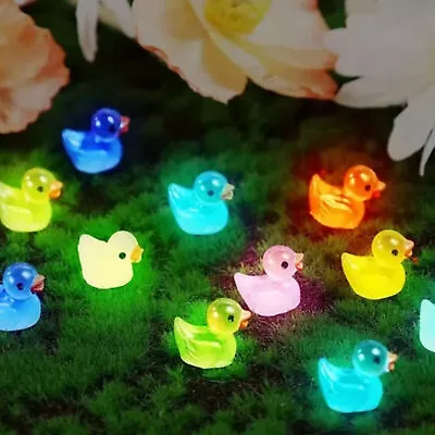 20pcs Mini Resin Ducks Luminous Tiny Ducks Miniature Duck Glow In The Dark • $9.01