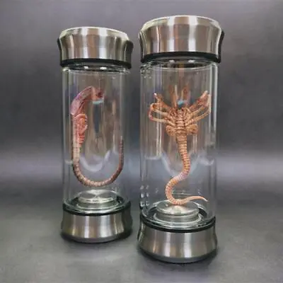 Alien Jar Specimen Facehugger Embryo Glass Jar Movie Prop Replica • $47.84