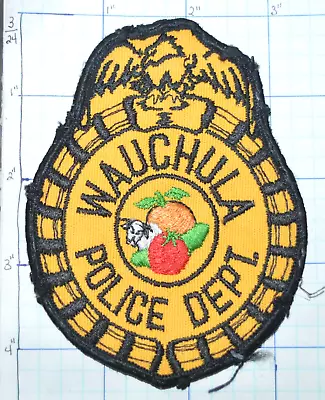 Florida Wauchula Police Dept Vintage Patch • $16