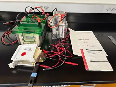 Several Bio-rad Mini Protean Vertical Electrophoresis Systems • $300