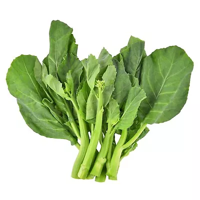 Chinese Broccoli KAILAAN 100+ Seeds HEIRLOOM Vegetable Garden ASIAN Gai Lum THAI • $4.99