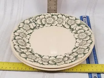 Vintage Wallace China Desert Ware Green Festival Set Of 2 9” Luncheon Plates • $25.56