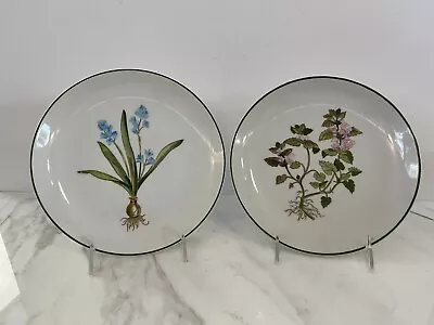 Horchow Collection 2 Pc Set 8.25  Salad Plates Botanical Flowers Green Rim Japan • $15