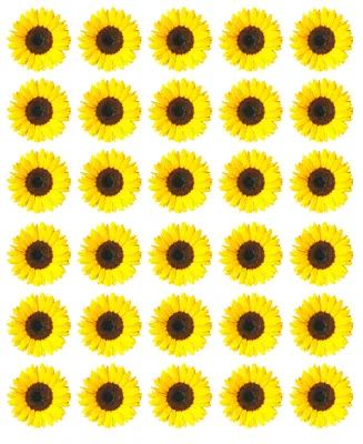 Sunflower X 30 Cupcake Toppers Edible Wafer Paper Fairy Cake Toppers • £2.70