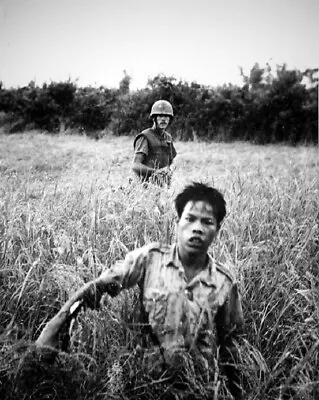 US Marine With Viet Cong POW 8x10 Vietnam War Photo 52 • $7.43