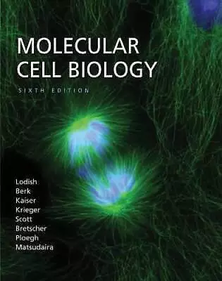 Molecular Cell Biology - Hardcover By Lodish Harvey - GOOD • $22.89