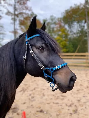 S Hackamore Shanks In Blue / Aircraft Grade Aluminum • $65