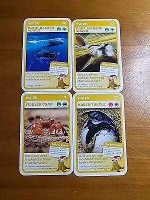 Woolworths Aussie Animals TARONGA (Water)🏆#29303132 - 4 CARDS🏆FREE POST • $3