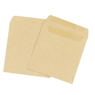 £1.48 • Buy Small Brown Plain Envelopes - Self Seal - Money Wage Pay Seeds