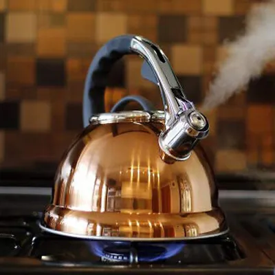 Voche 3.5l Copper Stainless Steel Whistling Kettle Gas Electric & Induction Hobs • £21.99