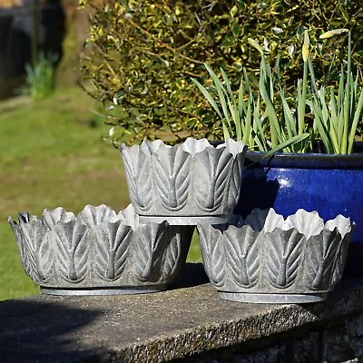 Galvanised Metal Petiole Planters | Large Outdoor Garden Flower Pot Trough Zinc • £65