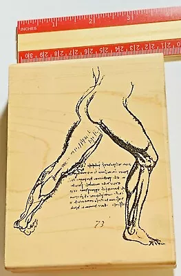 Male Physique Wood Mounted Rubber Stamp Stampington & Co R3146 Da Vinci • $12.49