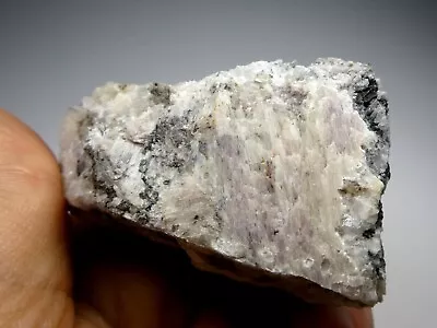£25 • Buy **MENDIPITE - Merehead Quarry, Somerset, England (not Cornwall, Cumbria) 6cm