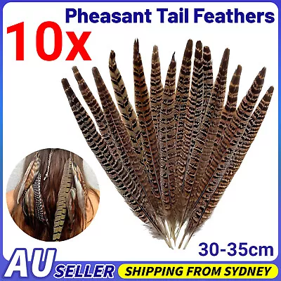 10x Natural Pheasant Tail Feathers 30-35cm DIY Art Craft Millinery Vase Decor AU • $11.45