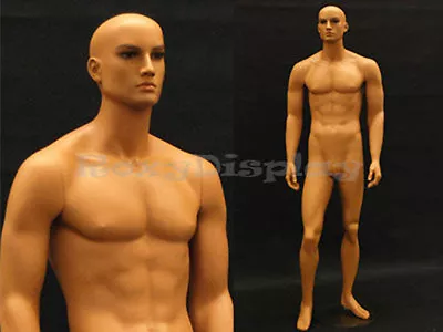 Tan Skin Young Male Mannequin Dress Form Display #MD-HAM25 • $209