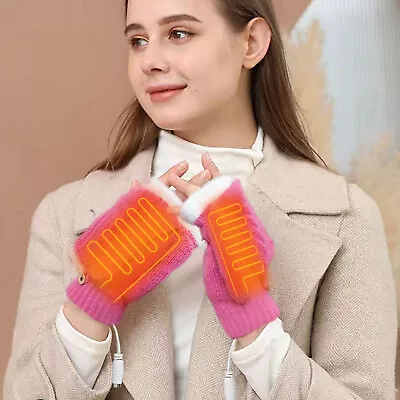 Winter Electric Heating Warm Gloves Usb Gloves Plush Mobile Power Computer • $16.12