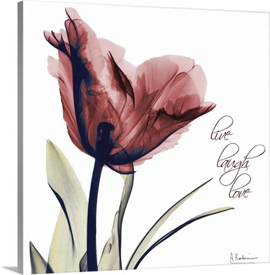 £382.93 • Buy Tulip Live, Laugh, Love X-ray Canvas Wall Art Print, Inspirational Home Decor