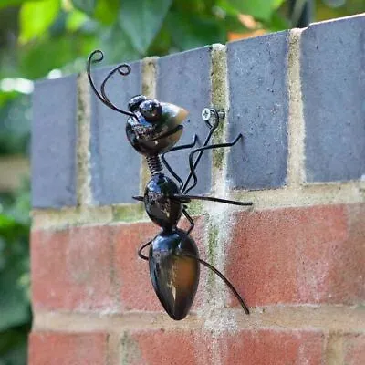 Medium Ant Wall Mounted Ornament Garden Decoration Insect Steel Hand Painted Art • £8.39