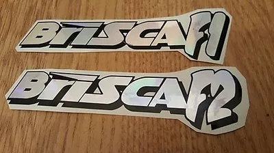 BRISCA F1 Or BRISCA F2 Stock Car Vinyl Sticker Logo Chrome And Black 190x50mm • £1.99