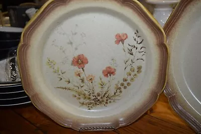 Vintage Mikasa E8016 Jardiniere 10 1/2  Dinner & 8  Salad Plates Look New  • $7